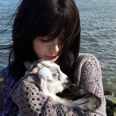 西格弗里德